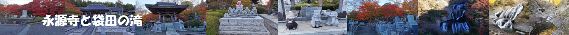 永源寺と袋田の滝